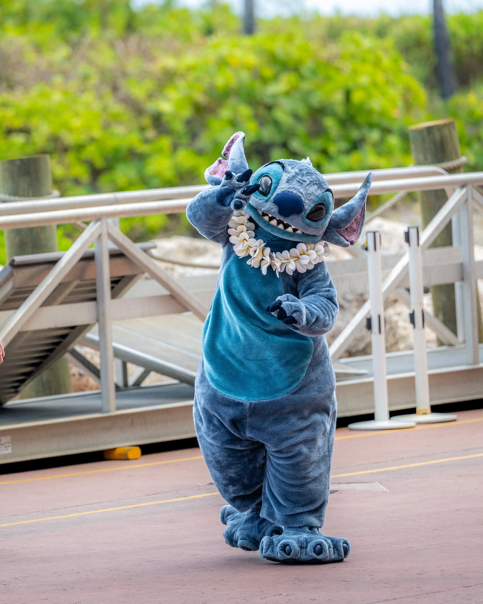 Stitch waving and smiling at guests on Castaway Cay during a Disney Cruise Line stop. Stitch Greeting Guests at Castaway Cay on a Disney Cruise