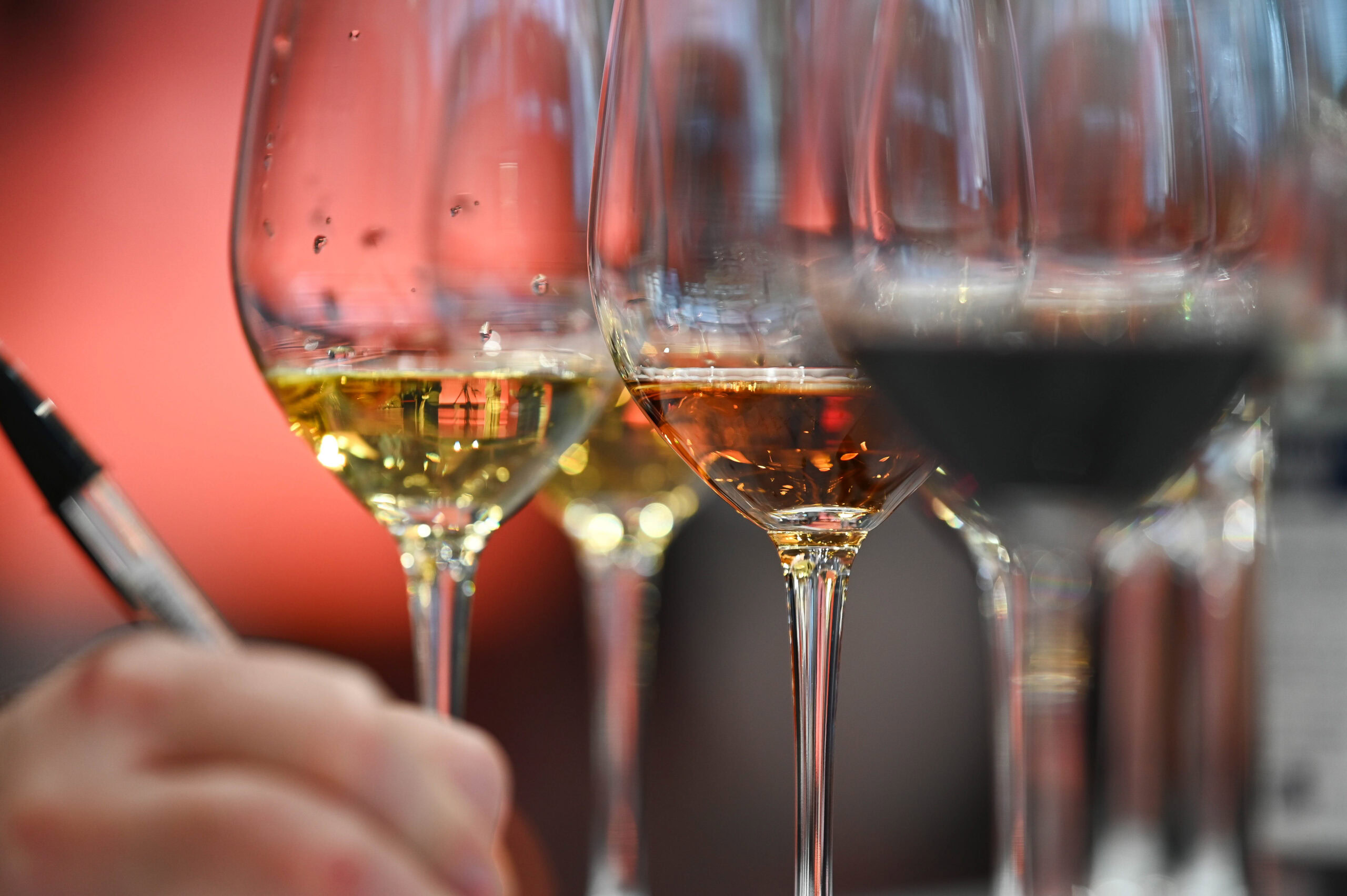 Private sommelier wine tasting experience in Puerto Rico with curated wine pairings