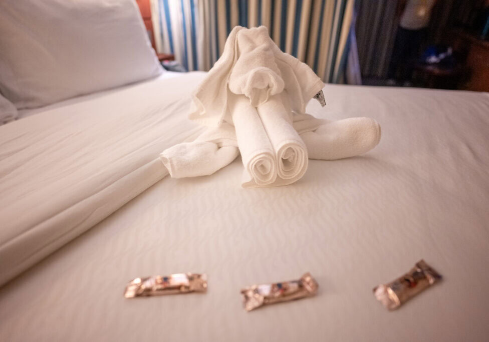 White towel animal on a cruise stateroom bed with wrapped chocolates.